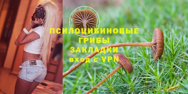 бутират Каменка