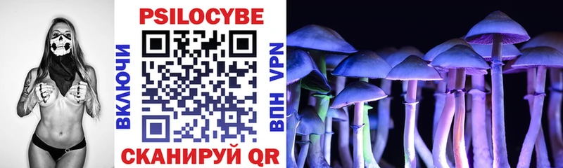 Псилоцибиновые грибы Psilocybe  Купить  Таштагол 